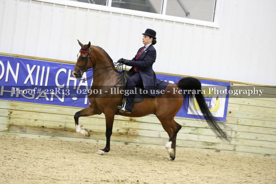 Proof 22R13_02901