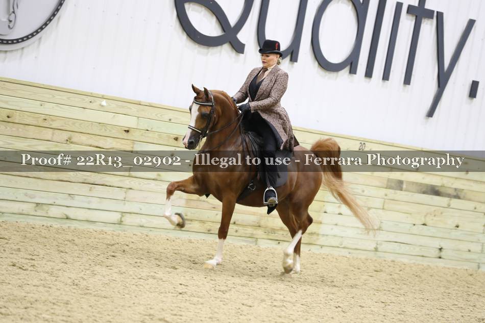 Proof 22R13_02902