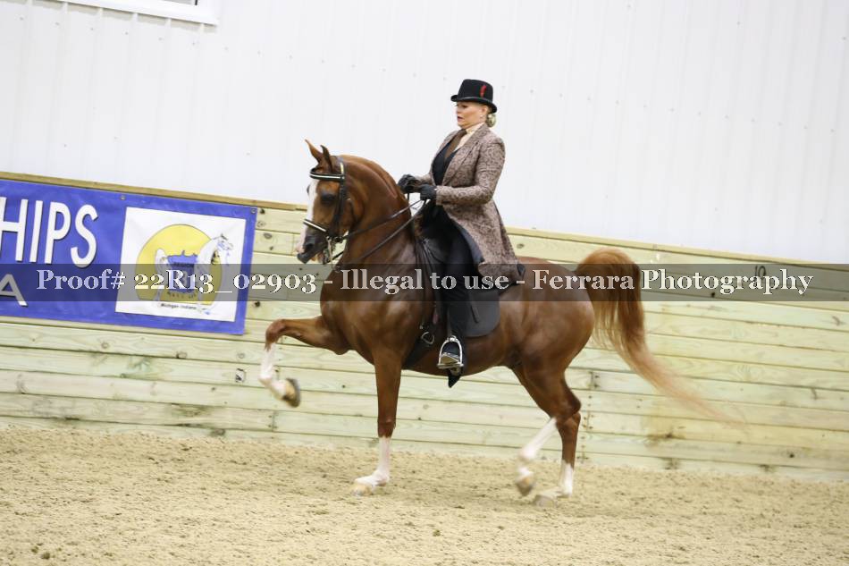 Proof 22R13_02903