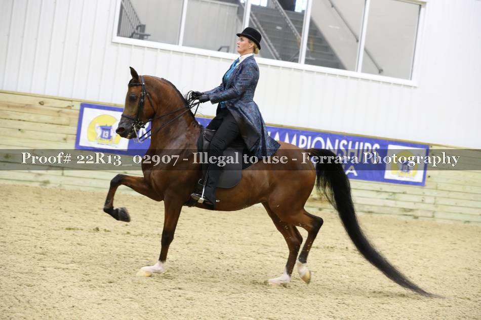 Proof 22R13_02907