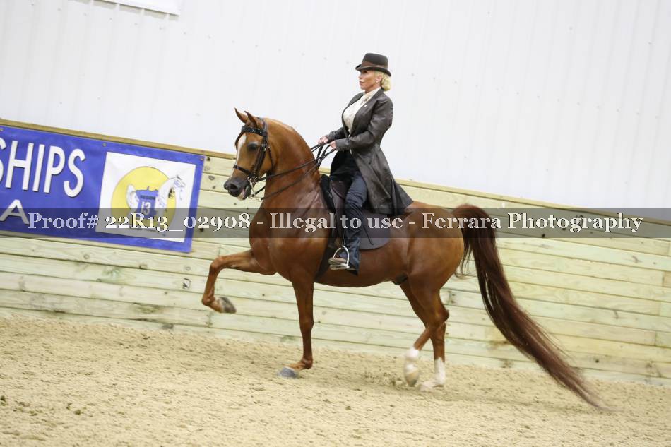 Proof 22R13_02908