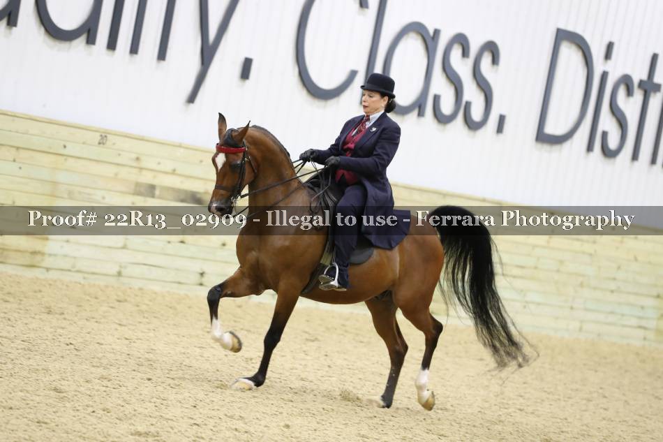 Proof 22R13_02909