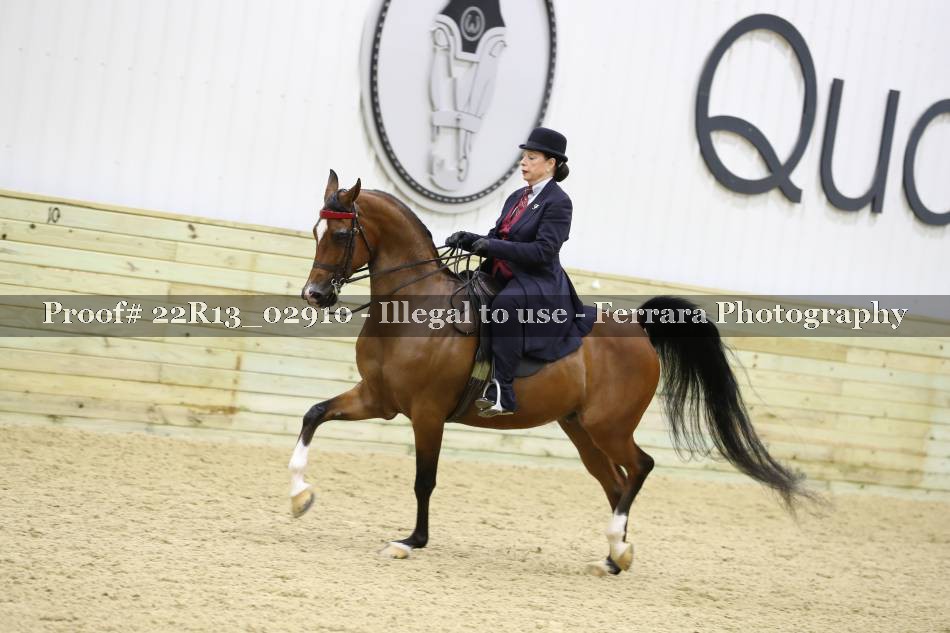 Proof 22R13_02910