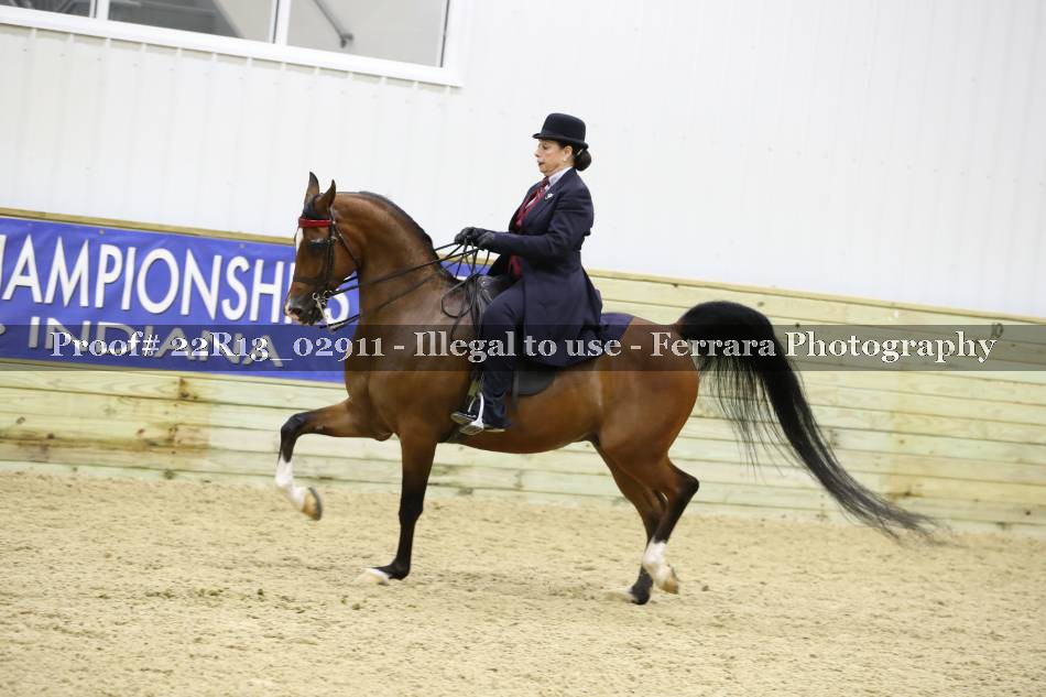 Proof 22R13_02911