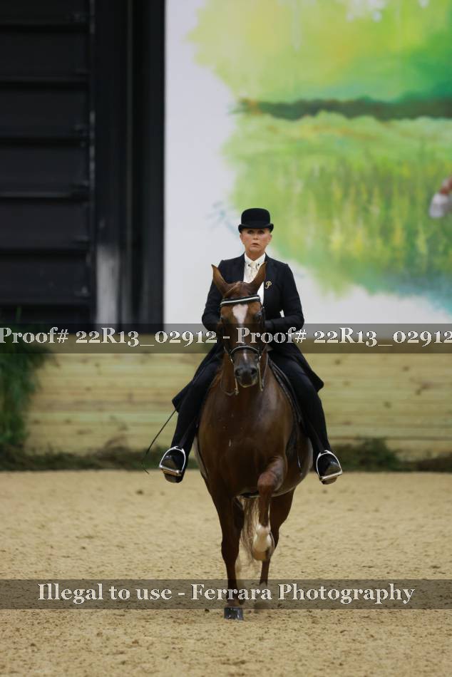 Proof 22R13_02912