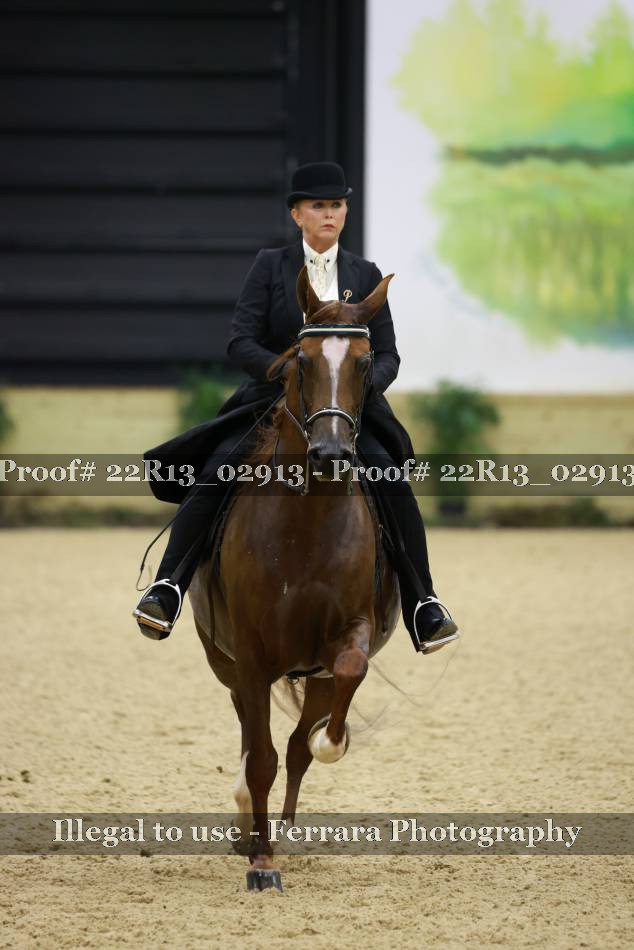 Proof 22R13_02913