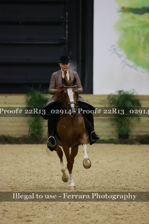 Proof 22R13_02914