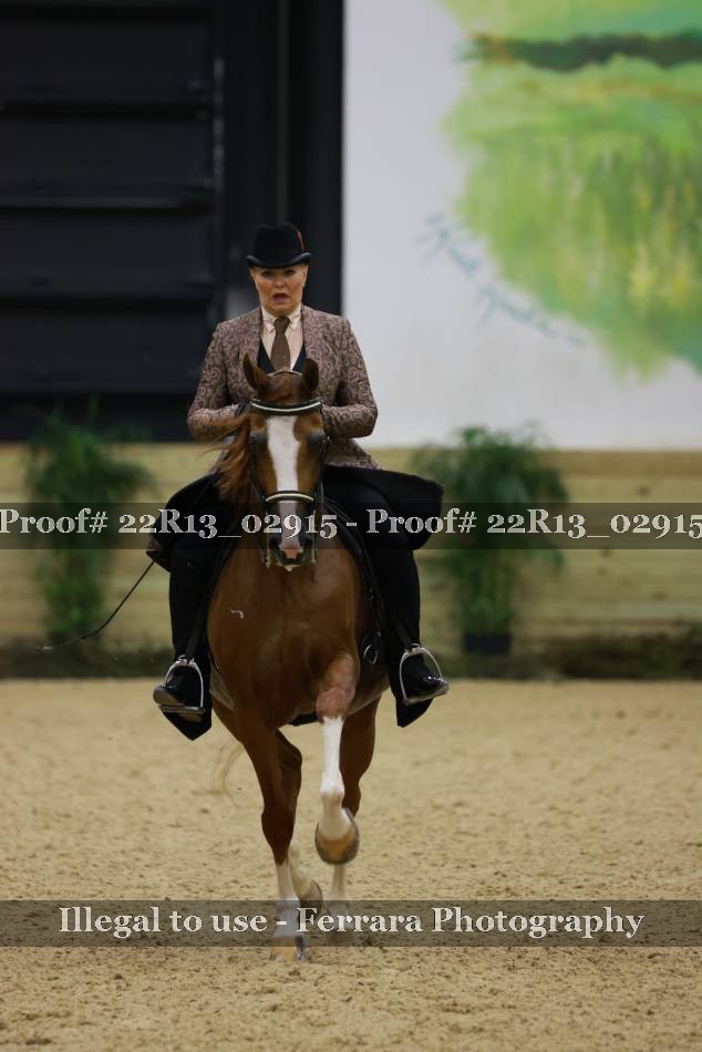 Proof 22R13_02915