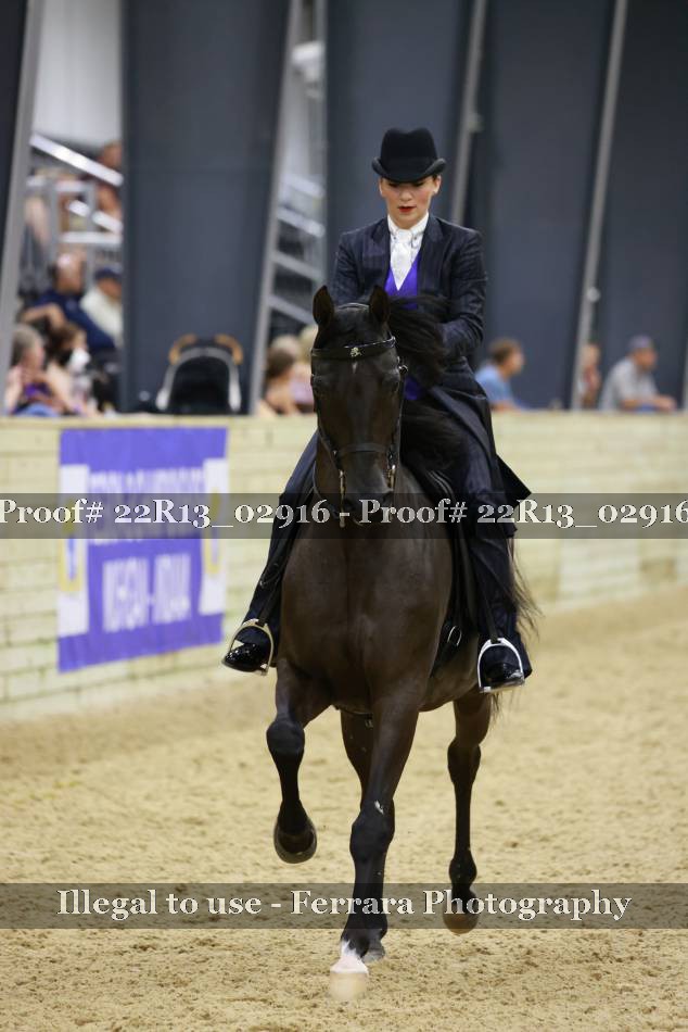 Proof 22R13_02916