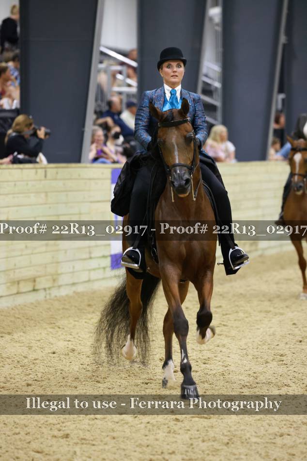 Proof 22R13_02917