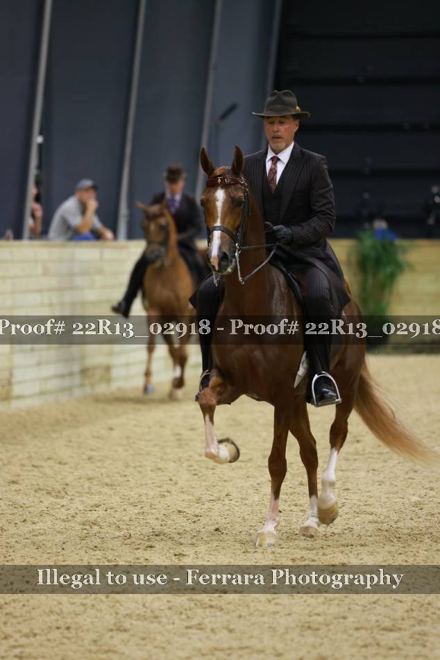 Proof 22R13_02918