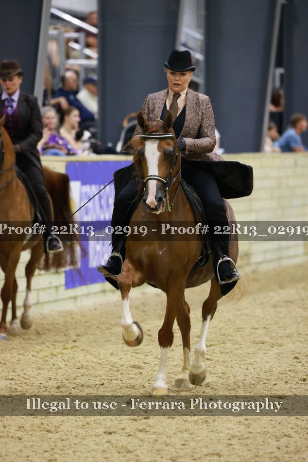 Proof 22R13_02919
