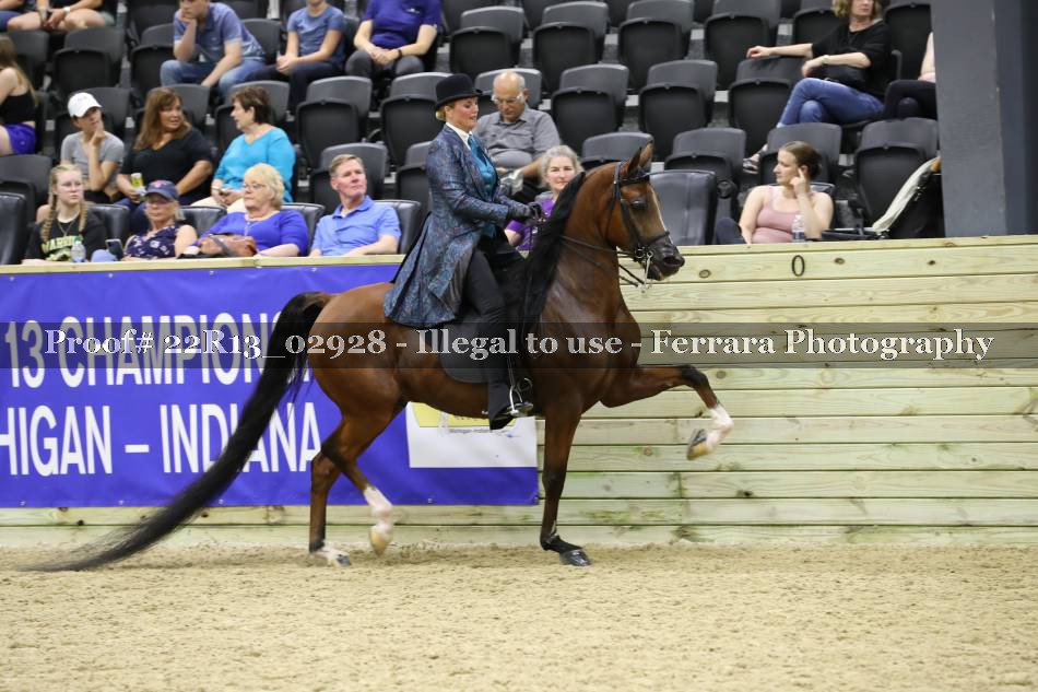 Proof 22R13_02928