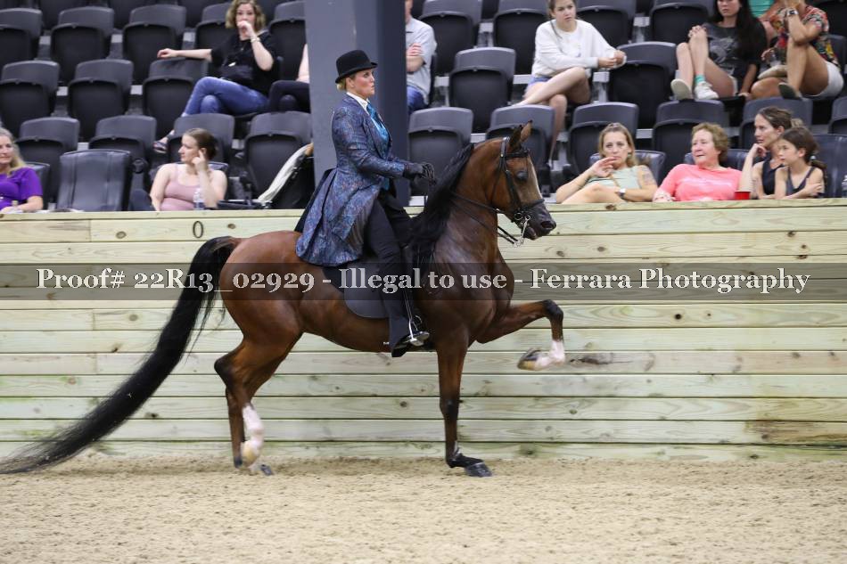 Proof 22R13_02929