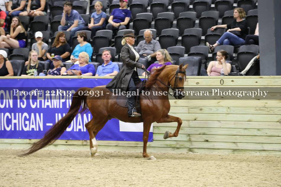 Proof 22R13_02931