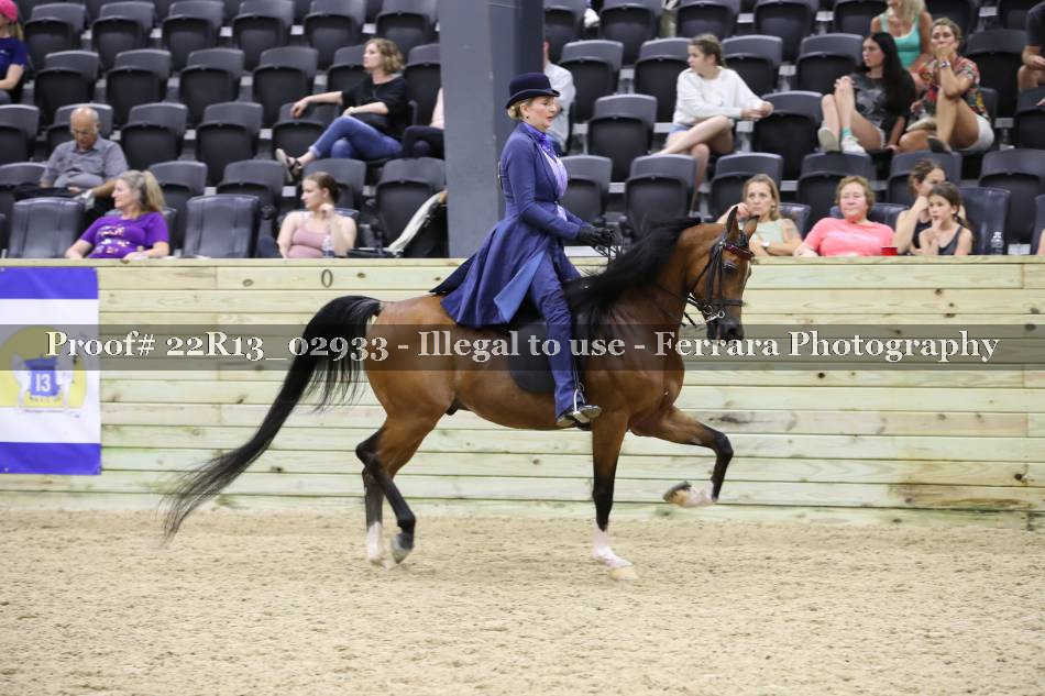Proof 22R13_02933