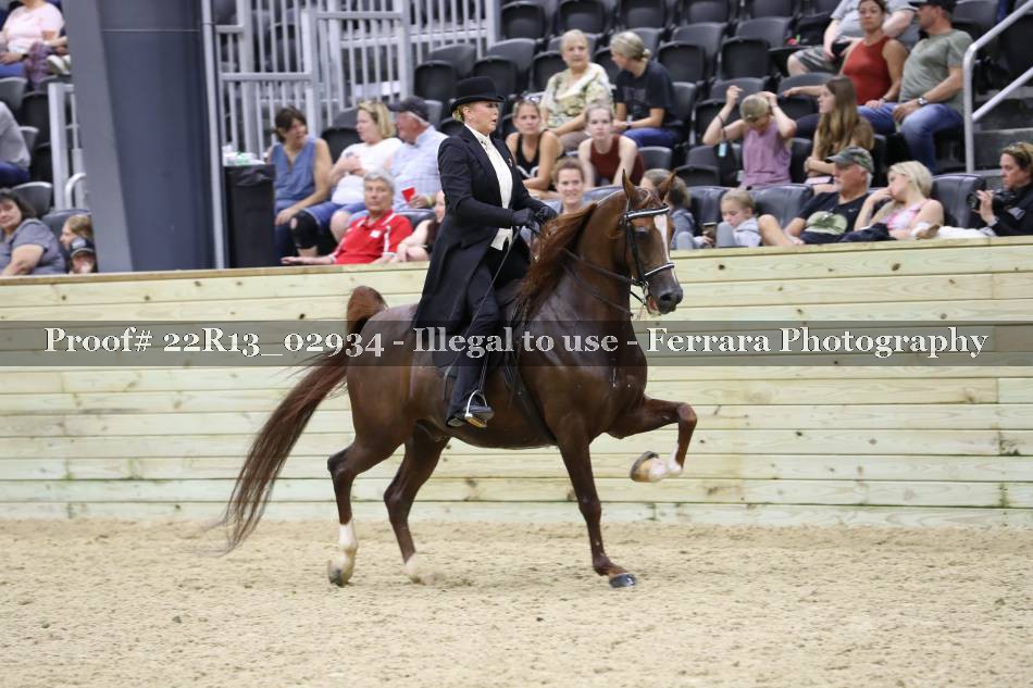 Proof 22R13_02934