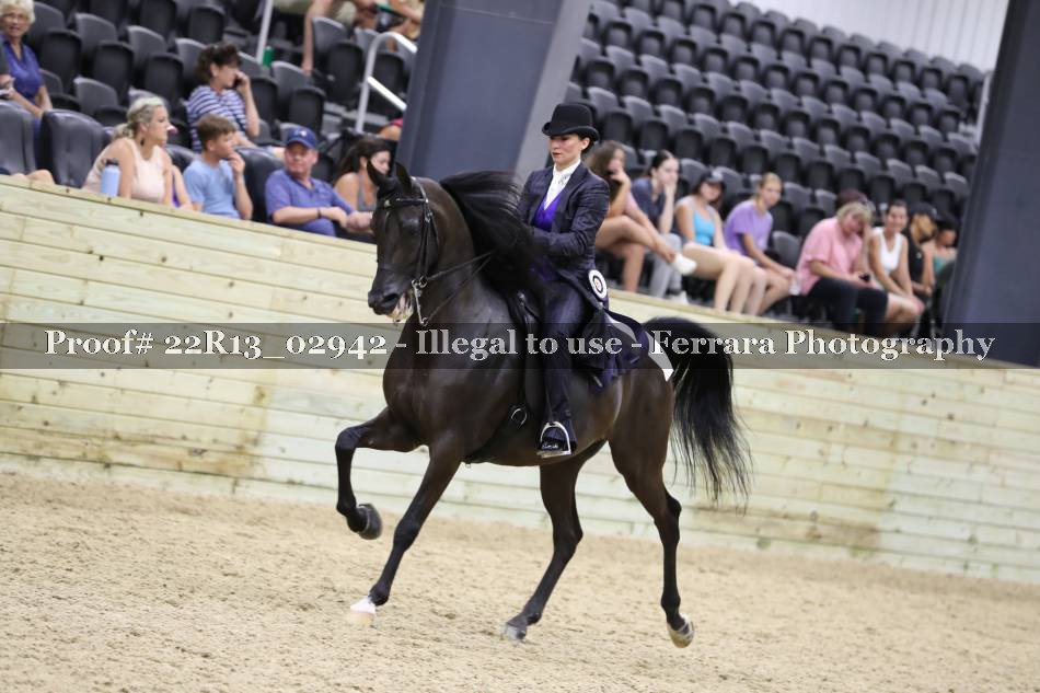 Proof 22R13_02942
