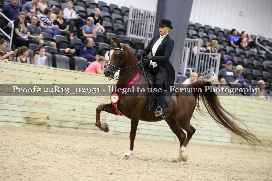 Proof 22R13_02951