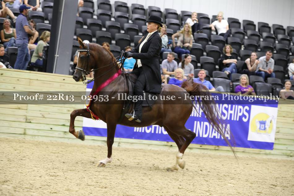 Proof 22R13_02953