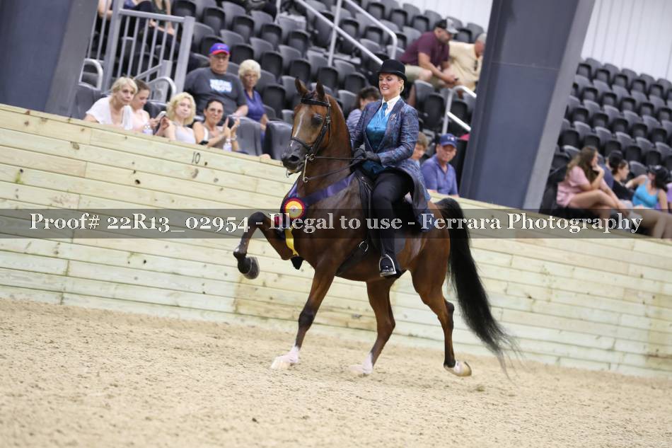Proof 22R13_02954