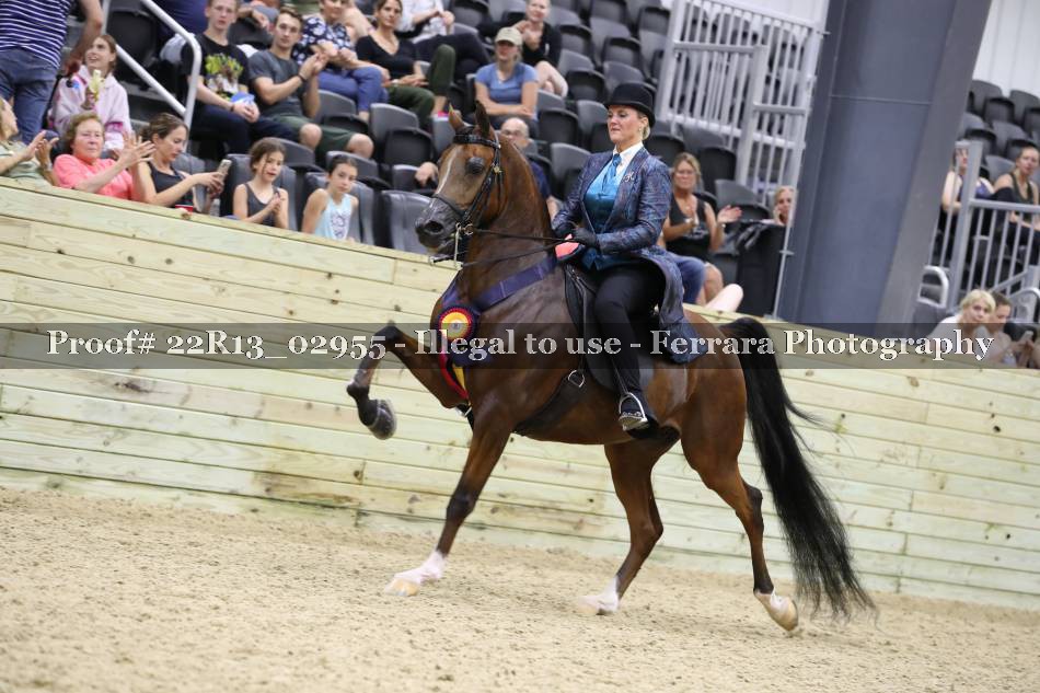 Proof 22R13_02955