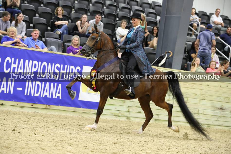 Proof 22R13_02956
