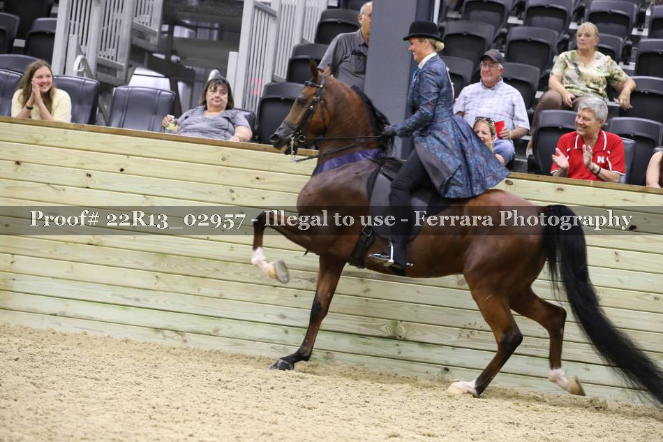 Proof 22R13_02957