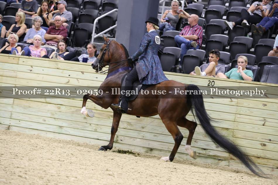 Proof 22R13_02959