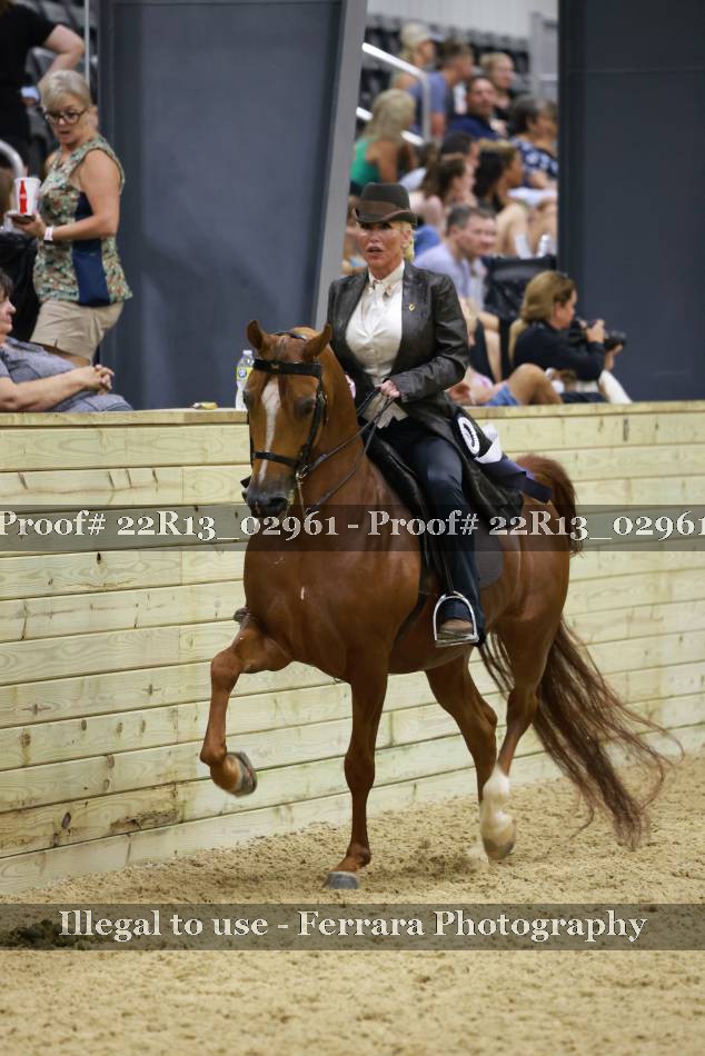 Proof 22R13_02961