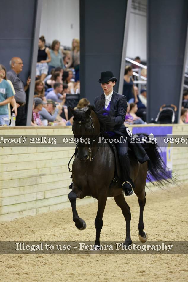 Proof 22R13_02963