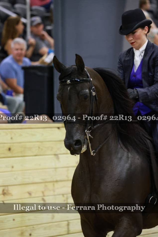 Proof 22R13_02964