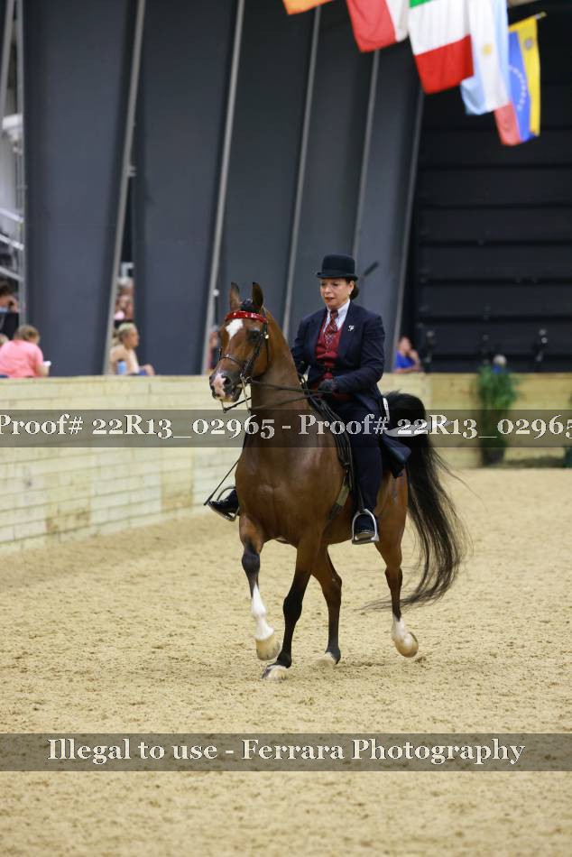 Proof 22R13_02965