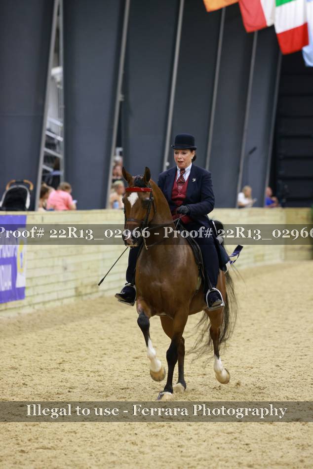 Proof 22R13_02966