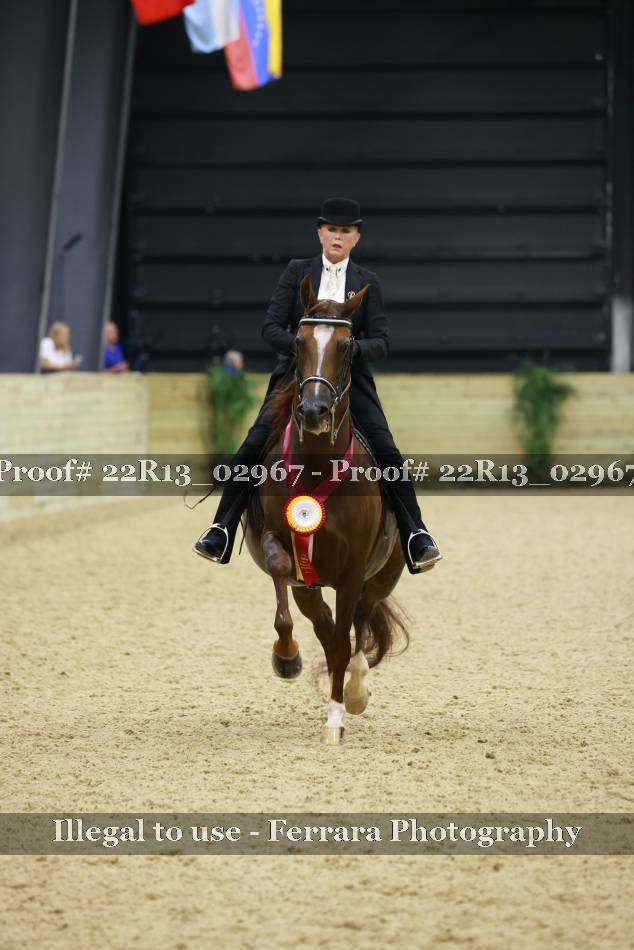 Proof 22R13_02967