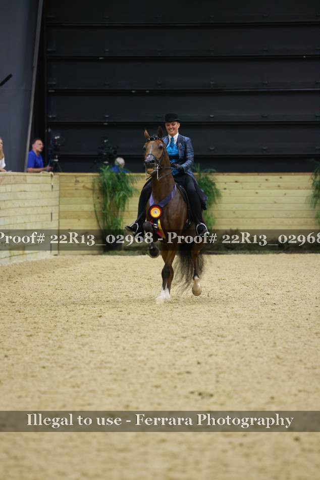 Proof 22R13_02968