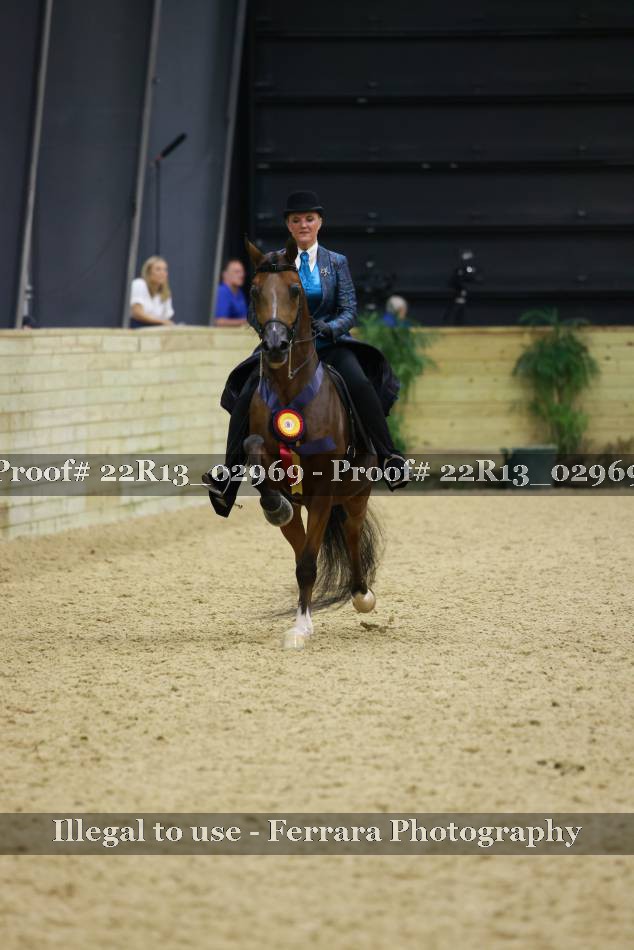 Proof 22R13_02969