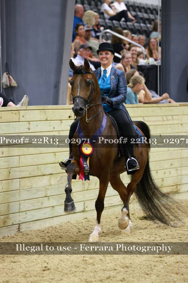 Proof 22R13_02971