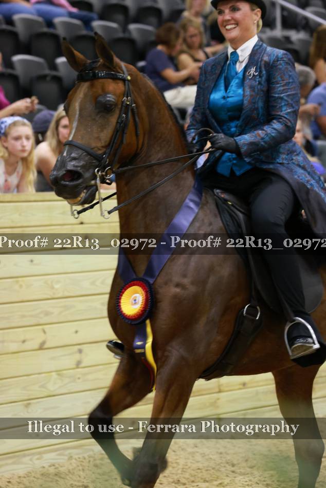 Proof 22R13_02972