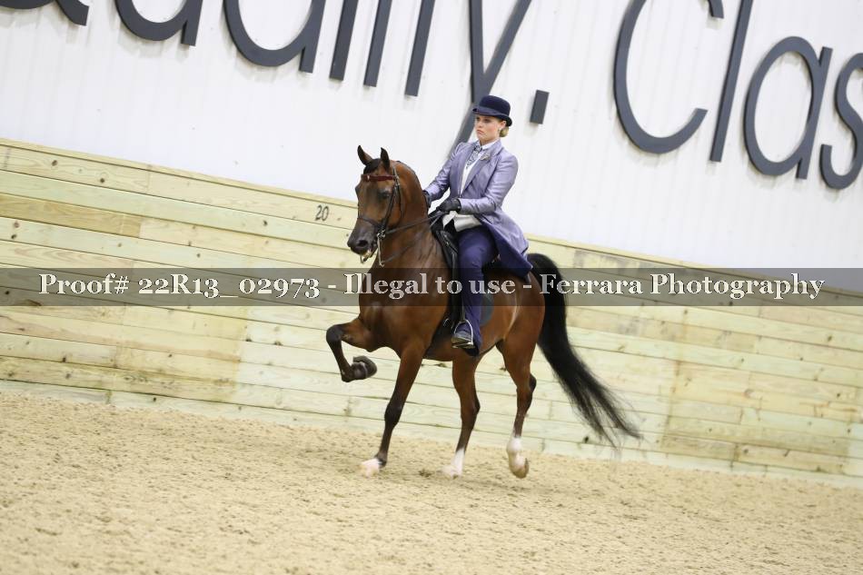 Proof 22R13_02973