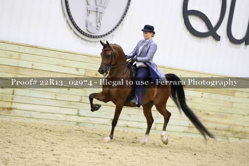 Proof 22R13_02974
