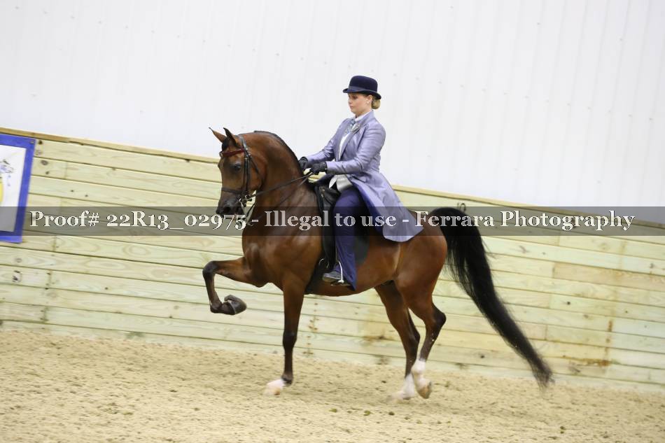 Proof 22R13_02975