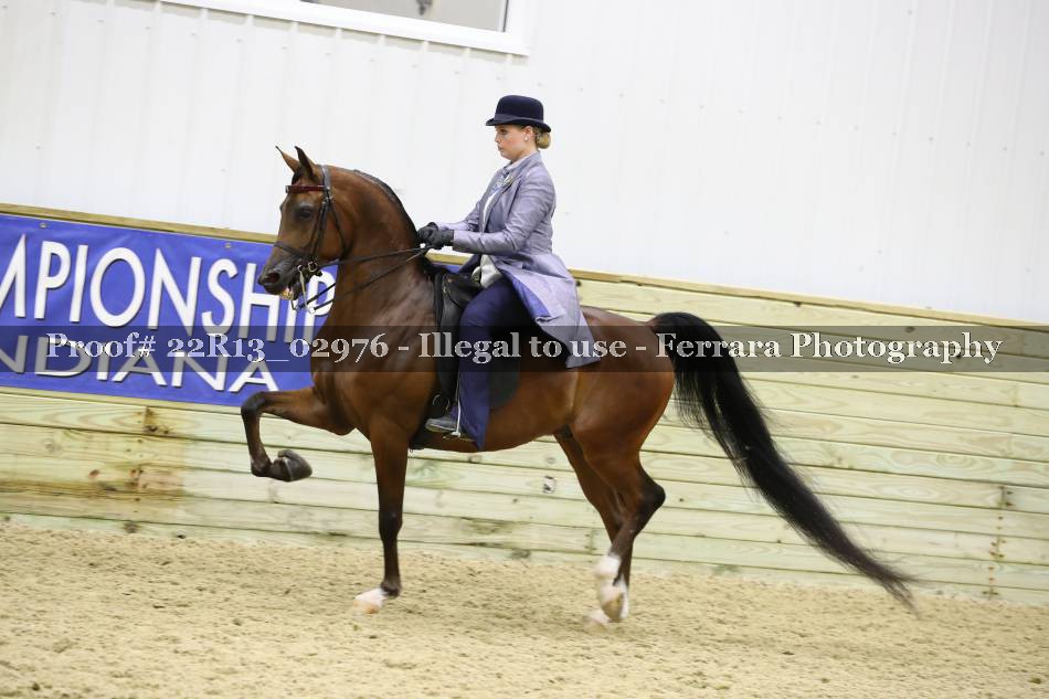 Proof 22R13_02976