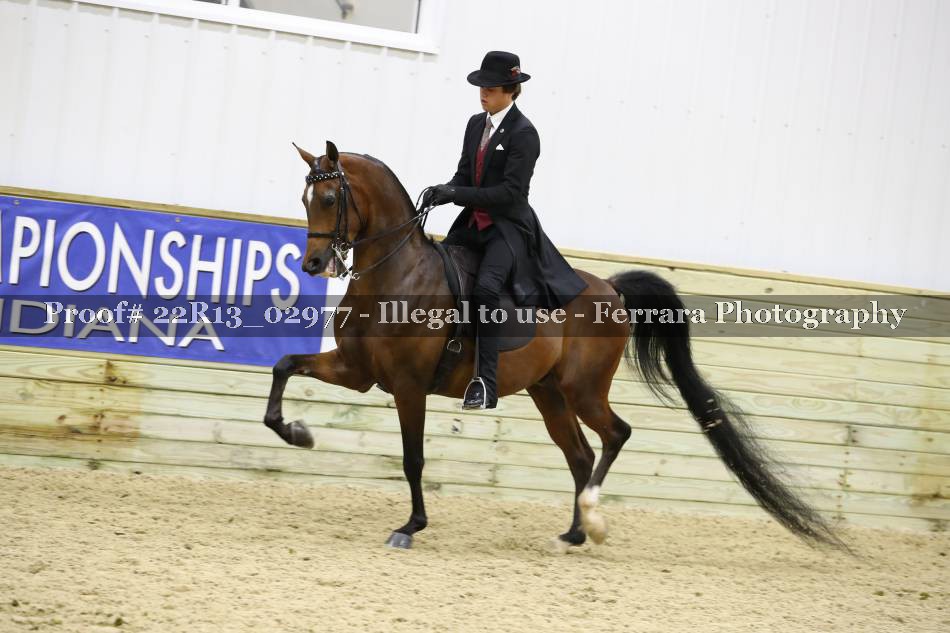 Proof 22R13_02977