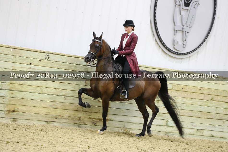 Proof 22R13_02978