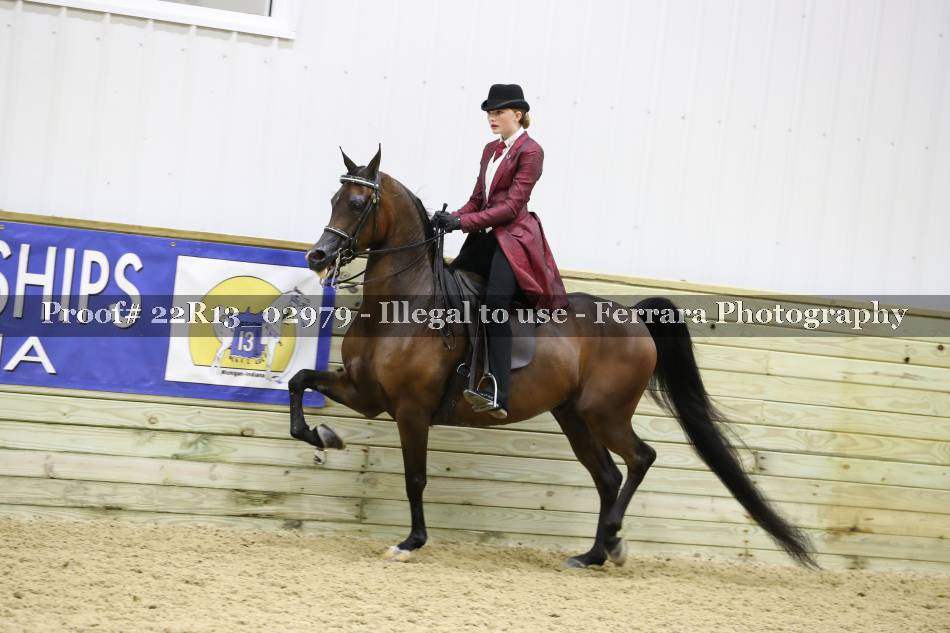Proof 22R13_02979
