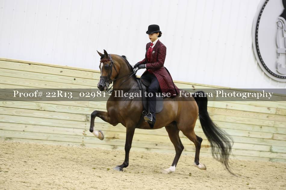 Proof 22R13_02981