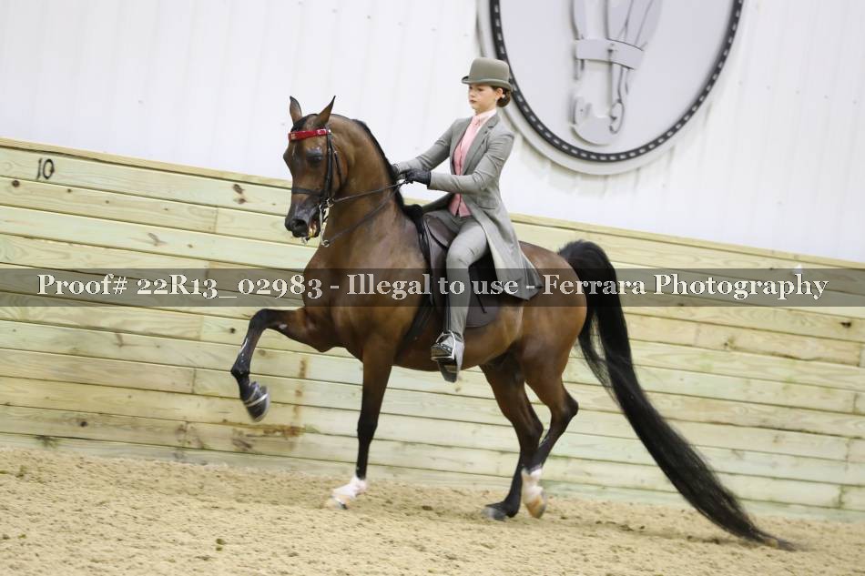 Proof 22R13_02983