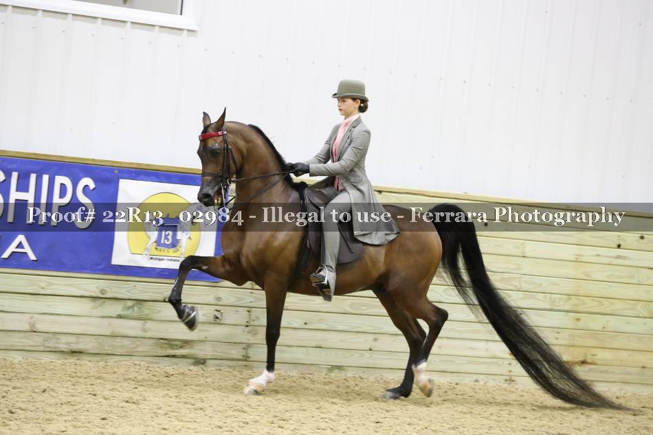 Proof 22R13_02984