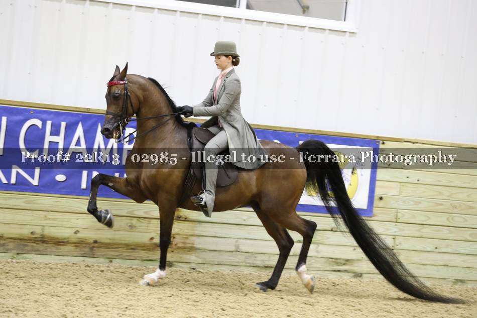 Proof 22R13_02985